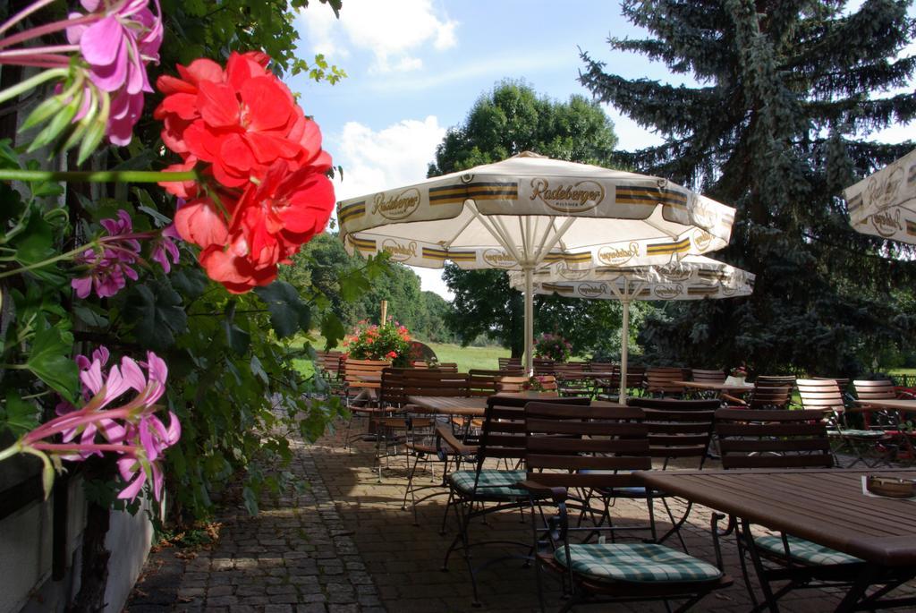 Werdau Hotel In Der Muehle מראה חיצוני תמונה