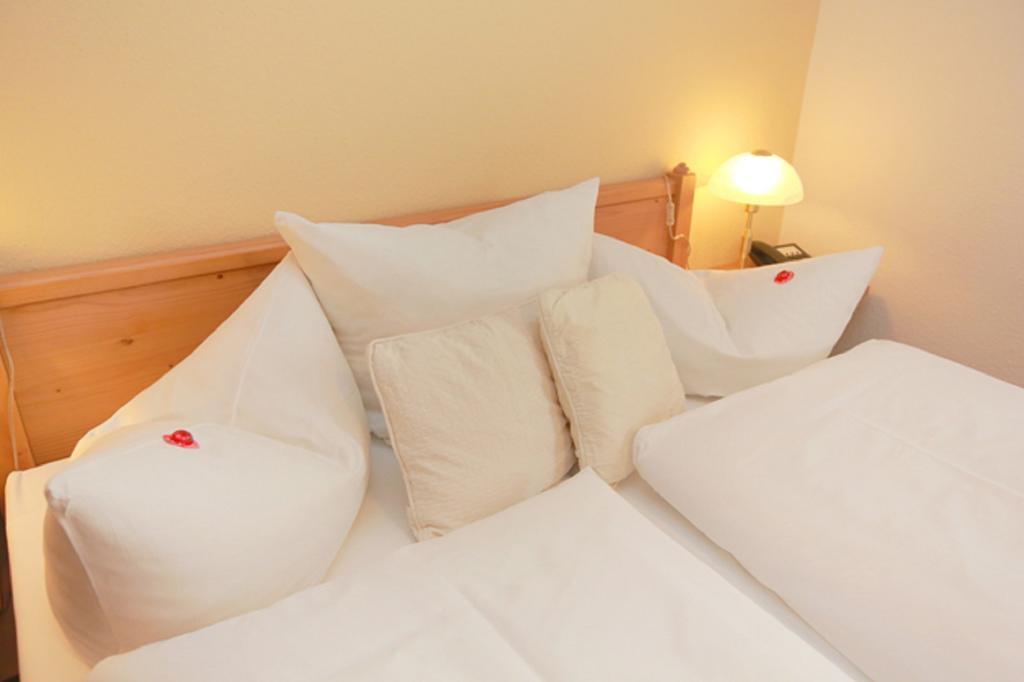 Werdau Hotel In Der Muehle מראה חיצוני תמונה